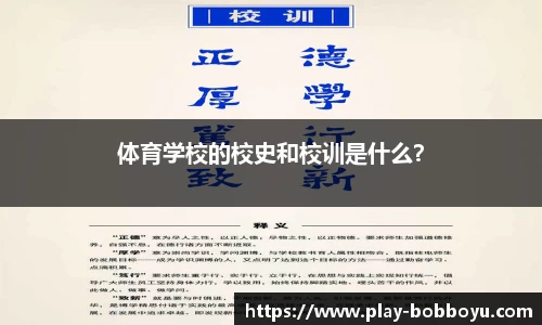 bob博鱼体育官方网站